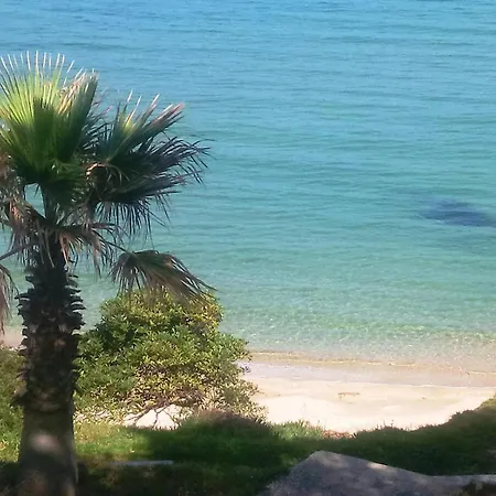 Appartamento Rénové Pour 2 Personnes Au Lavandou Avec Parking - Fr-1-251-871