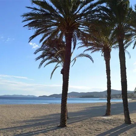 Апартаменти Renove Avec Terrasse Et Parking Au Lavandou - Fr-1-251-871