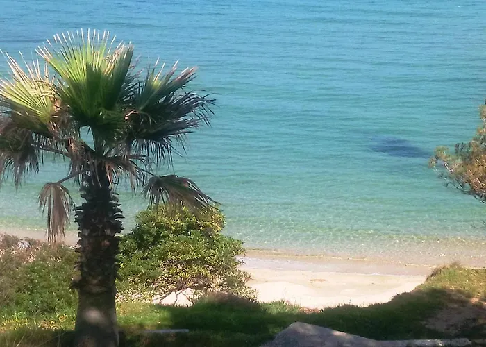 Apartment Renove Avec Terrasse Et Parking Au Lavandou - Fr-1-251-871