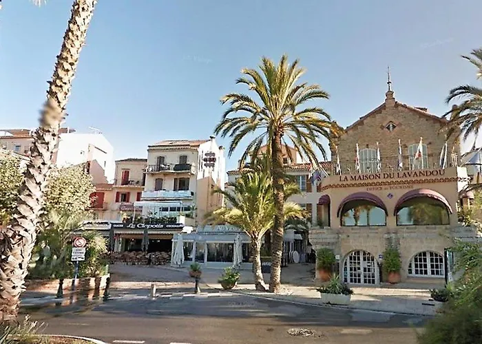 Renove Avec Terrasse Et Parking Au Lavandou - Fr-1-251-871 Apartment Le Lavandou