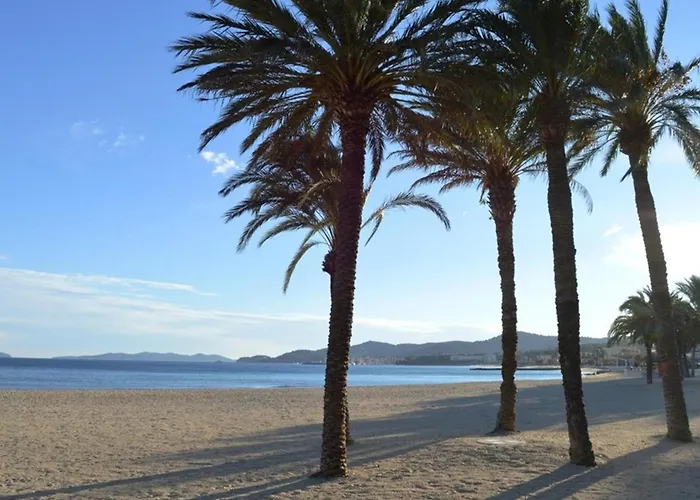 Apartment Renove Avec Terrasse Et Parking Au Lavandou - Fr-1-251-871